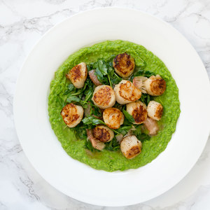 Pan-Seared Scallops with Pea Purée & Grapefruit-Arugula Salad